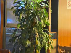 -如轩·海鲜砂锅粥·潮汕菜(一品天下店)