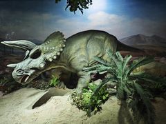 -国家自然博物馆