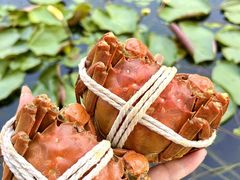 -欢乐蟹庄·精品农家乐(阳澄湖莲花岛店)