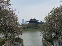 -海珠湖公园