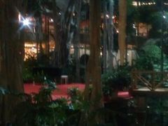 android_upload_pic-绿色时代大酒店