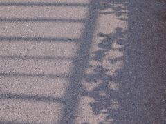 -天鹅湖体育公园