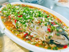 -飞虹鱼馆(春华路店)