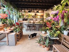 -自由生长植物工作室(深港花卉中心店)