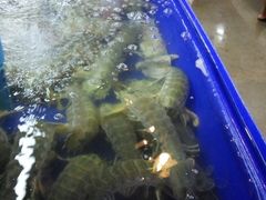 -班赞海鲜市场