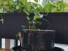 -红糖水都·女生特炖·中式滋补炖(北辰店)