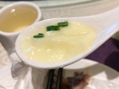 -四季春