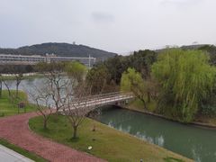 -上海佘山世茂艾美酒店