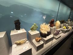 -贵州省地质博物馆