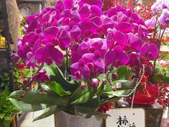 -何兮花店·气球派对鲜花店(马桥银春路万科城店)