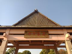 -上海都市菜园