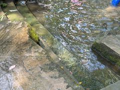 -成都市活水公园