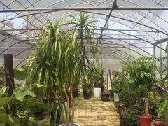 -呼吸森林·生态农庄农家乐私房菜