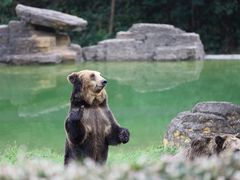 -杭州野生动物世界