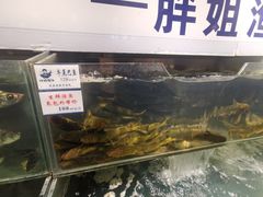 水产区-胖姐渔村(中源大道店)