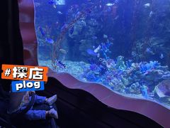 -太平洋海底世界