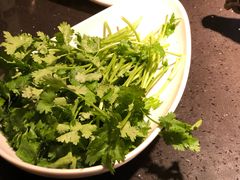 -锅说大脸毛肚重庆老火锅(佐阾店)