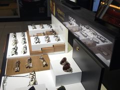 -LOHO眼镜(太阳宫凯德MALL店)