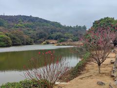 -南国桃园旅游度假区