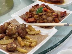 -泉龙渔村·粤式早茶·金牌烧鹅(中山三乡店)