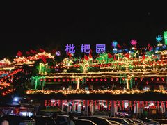 -枇杷园食为鲜火锅(南山店)