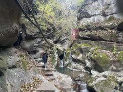 -黑河国家森林公园