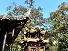 -峨眉山报国寺