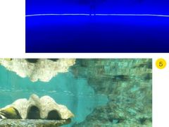 -北戴河圣蓝海洋公园