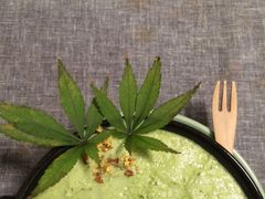 -柴务处·柴犬主题狗咖