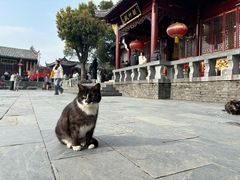 -长春观