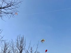 -重庆中央公园(渝北区)