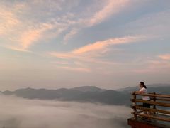 -紫鹊界梯田景区