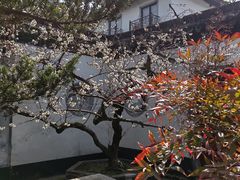-东山雕花楼