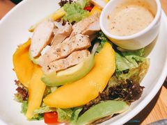 -Wagas沃歌斯(大学路店)