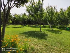 -洨河生态公园