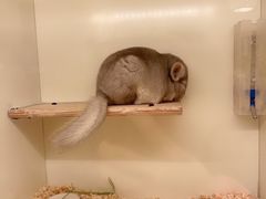 -龙猫仔乐园(惠福东路店)