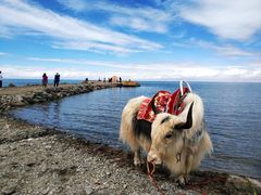 -青海湖国家重点风景名胜区