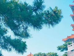 -蓬莱仙岛
