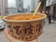 -周小亮丁家坡洋芋(全国总店)