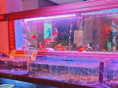 -云境生态园(红谷滩店)