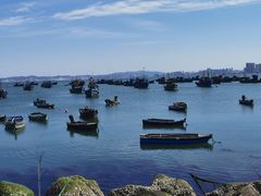 -海源公园