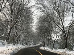 -天目湖涵田半山温泉