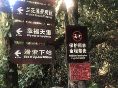 -呀诺达热带雨林