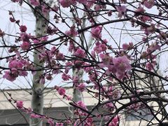 -浙江大学(玉泉校区)