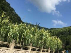 -径山寺