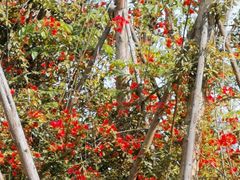 -白鹭湾湿地公园