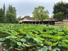 -乌村