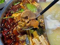 -蓉客成都火锅·招牌麻辣牛杂·特色香辣蹄花(凌水店)