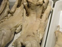 -蜀肴丁丁兔(紫荆店)