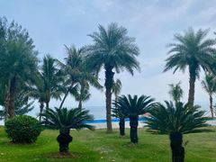 -玫瑰海岸文化旅游度假区